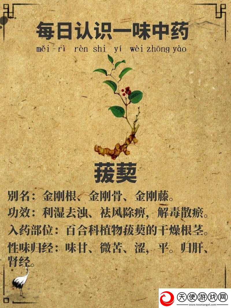 一吃就硬的草药