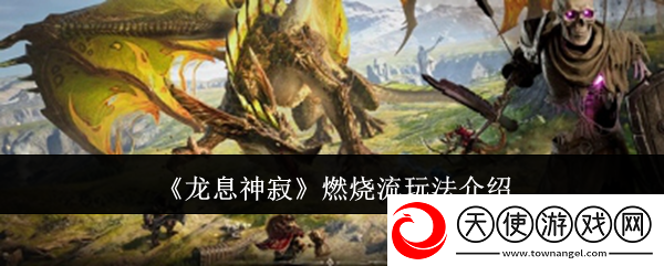 龙息神寂燃烧流玩法介绍