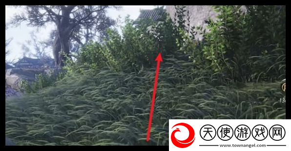 燕云十六声清河特殊蹊跷位置一览