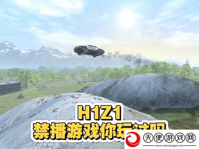 h1z1禁播