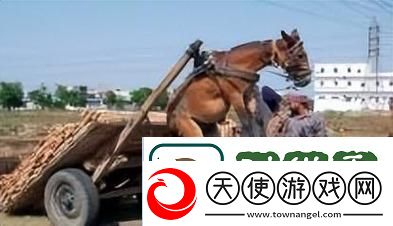 人马畜禽company