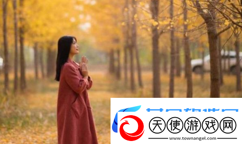 三年片免费观看大全第四集古代