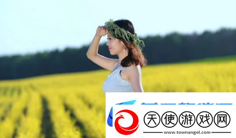 国产电影一曲二曲三曲是什么