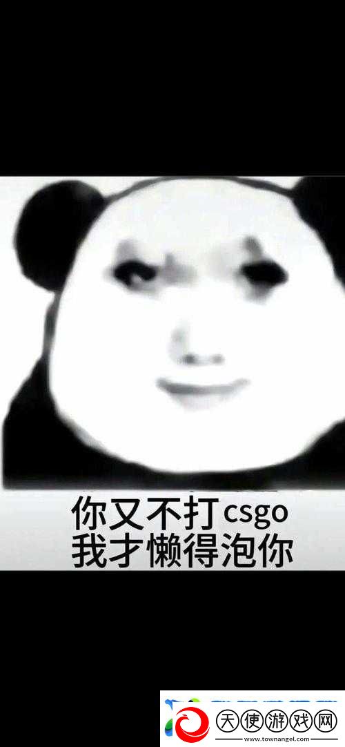 暴躁老姐的CSGO实战技巧分享