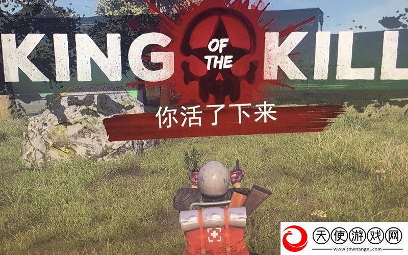 h1z1禁播