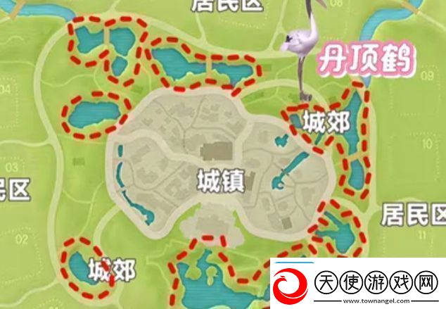 心动小镇新春季第3周4只鸟位置