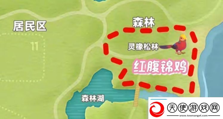 心动小镇新春季第3周4只鸟位置