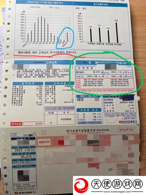 好看的韩国三色电费