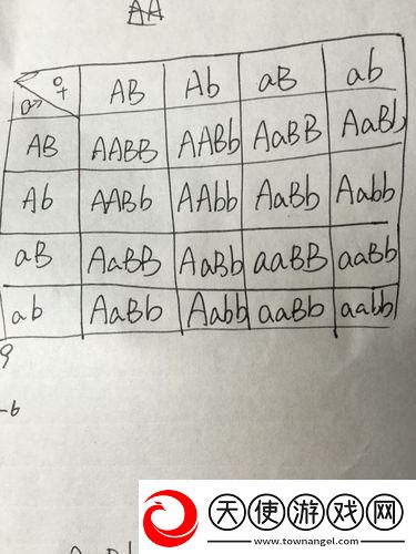 AABB与AAAA的差异