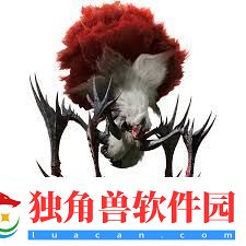 怪物猎人荒野刺花蜘蛛如何组建最佳蜘蛛猎人阵容