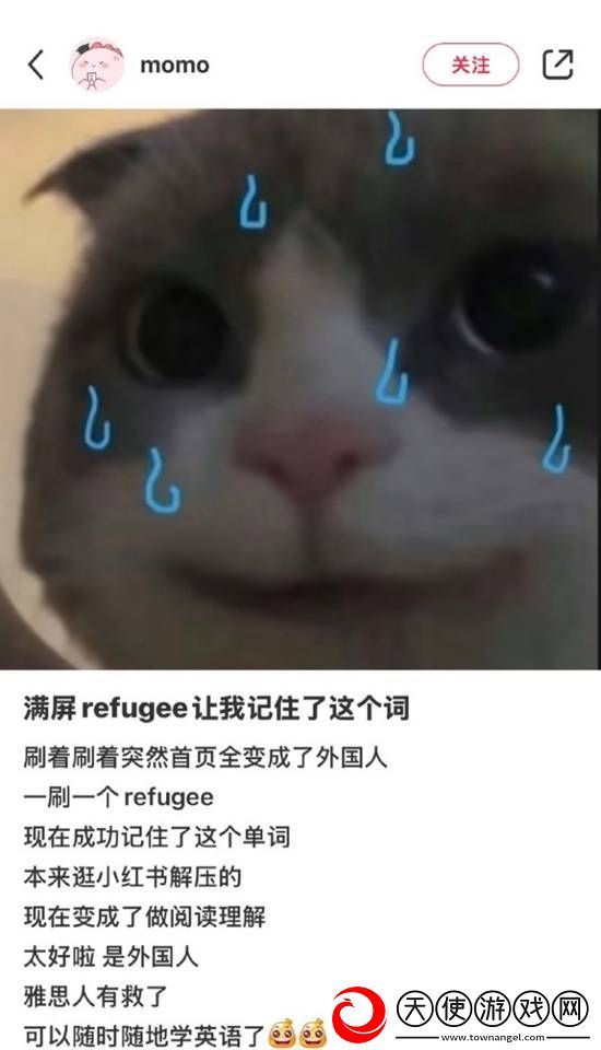 大量外国网友涌入小红书