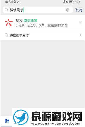 微信怎么刷掌支付