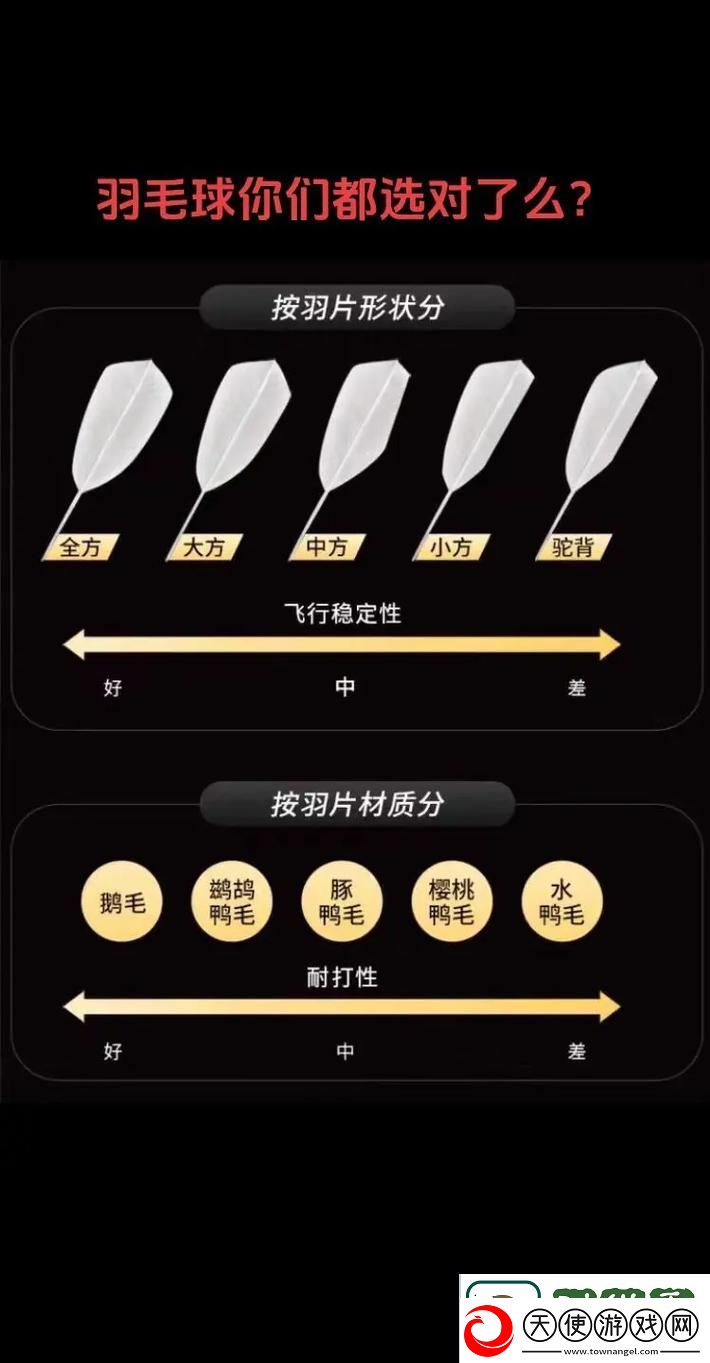 揭示AAAA级毛和AAAA的区别