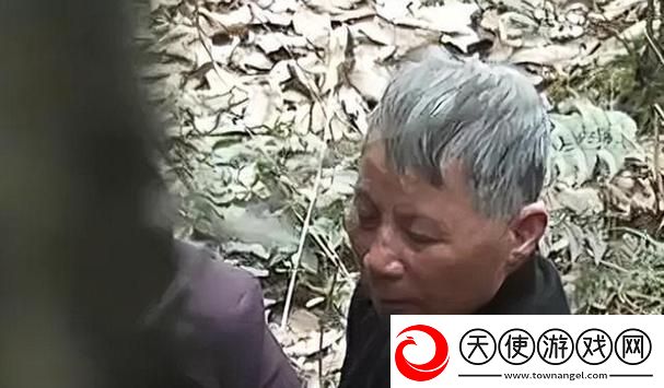 老年镖客在线免费观看