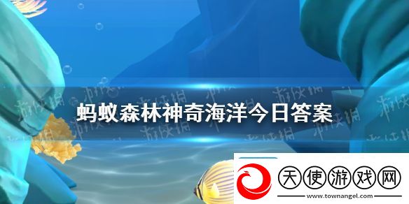 猜一猜糖果蟹之所以得名