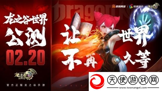 开发者专栏