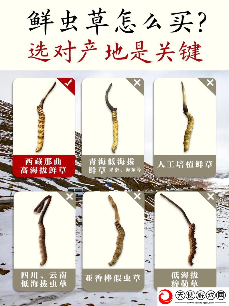 嫩草精产一二三产区