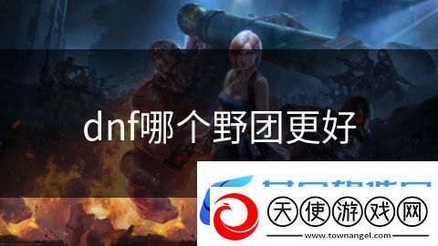 dnf哪个野团更好