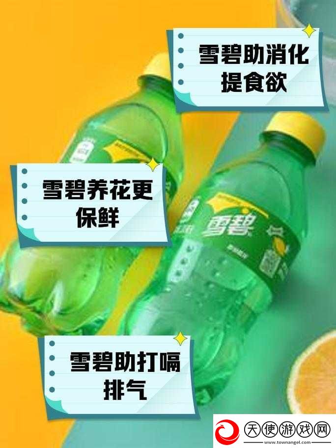雪碧免费安装下载指南