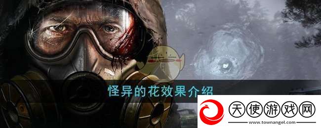 潜行者2怪异的花有什么用