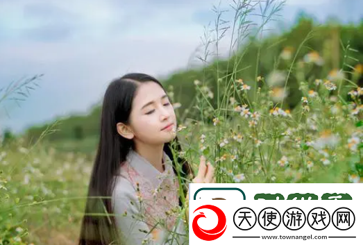 八戒看免费高清电视剧