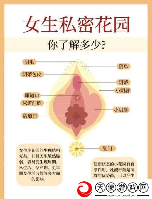 嫩玉缝是什么