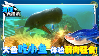 柯娜精神之桥开发商