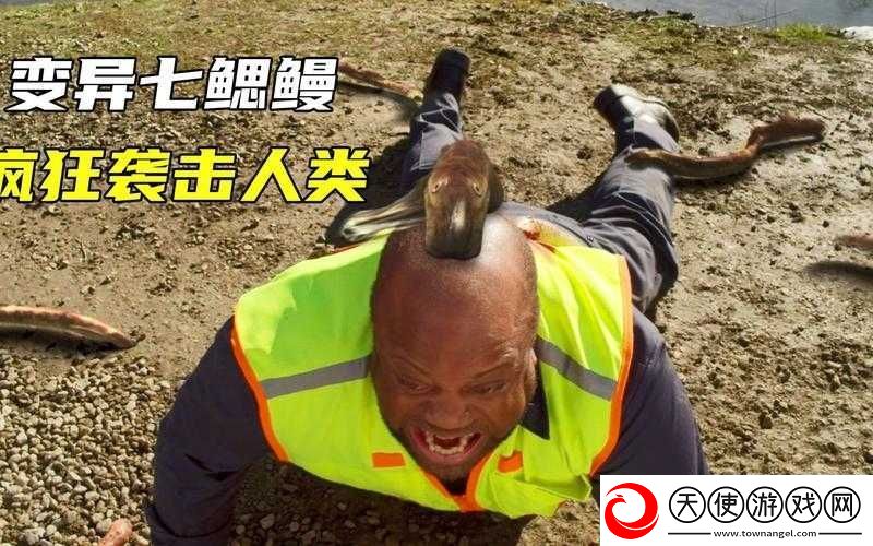 人鳗图片