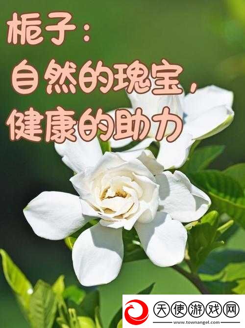 探索健康与自然的奥秘
