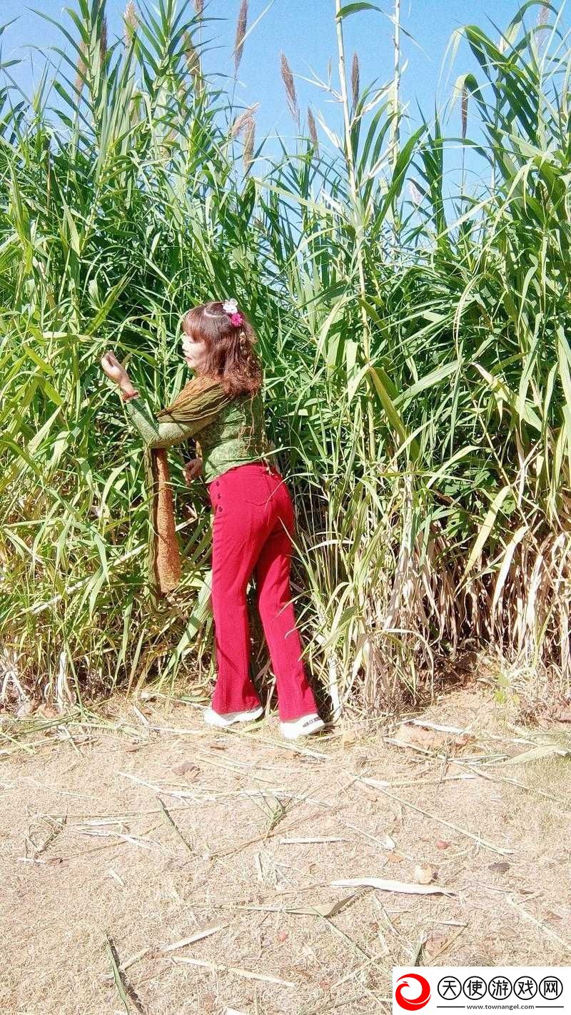 为何花溪村留守女人成为话题焦点