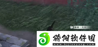 燕云十六声猫猫大头位置在哪里