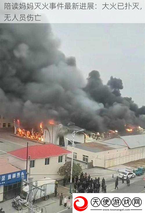 陪读妈妈灭火事件最新进展