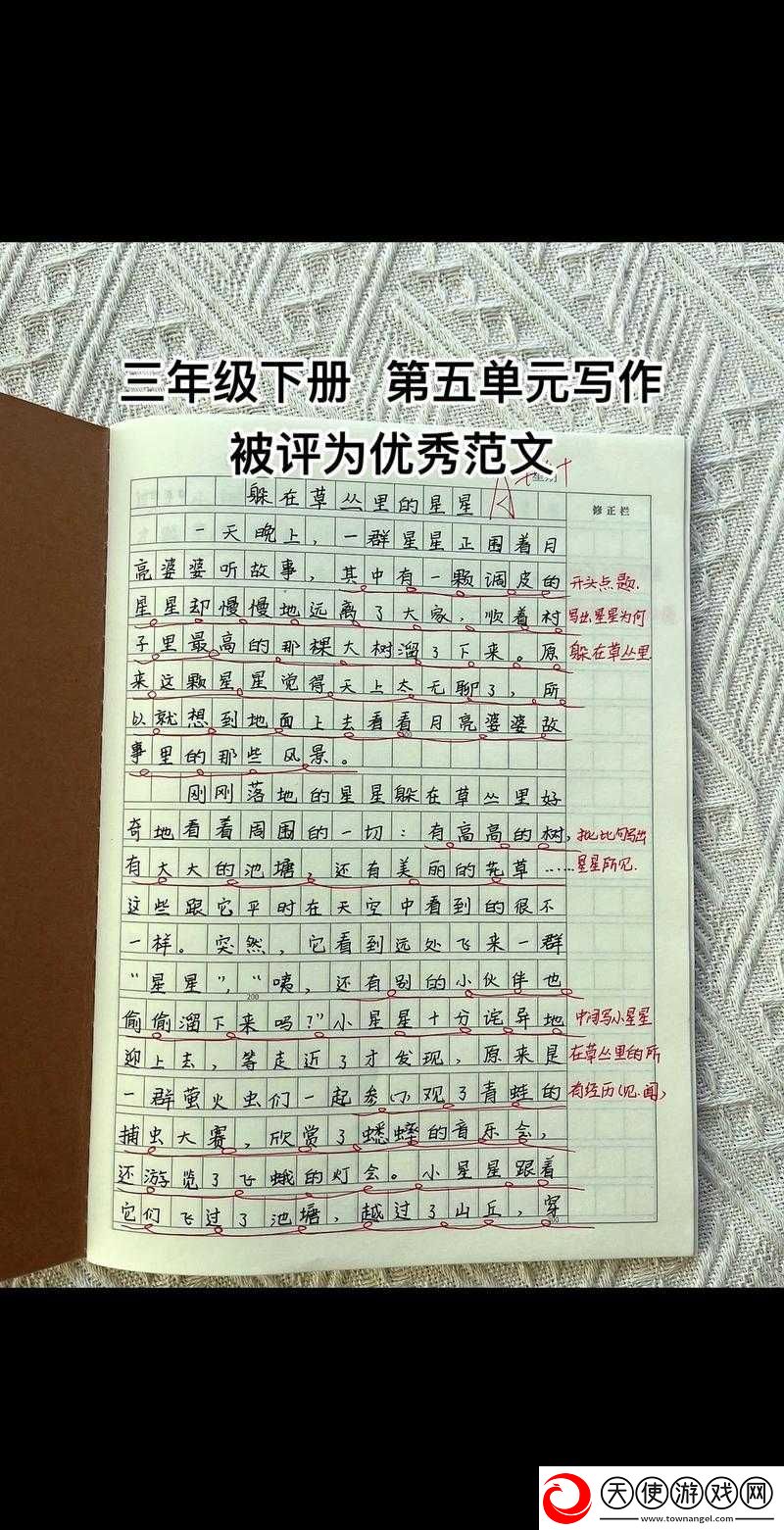 炖肉计