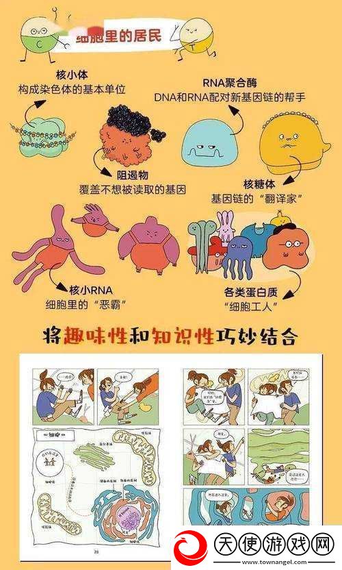 奶牛**的奇妙故事