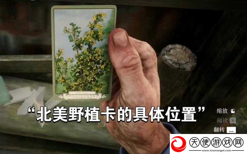 荒野大镖客2