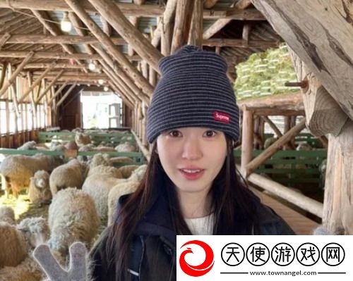 成品人精品人的区别四叶草