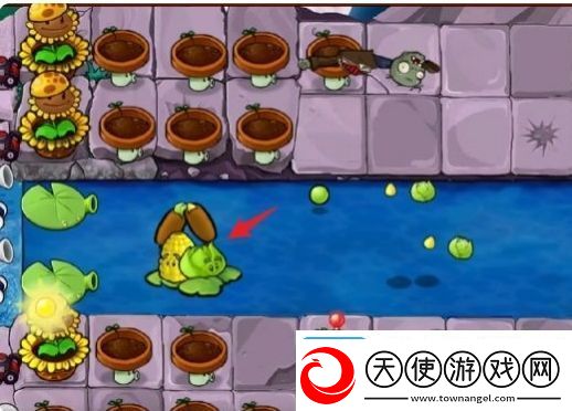 植物大战僵尸杂交版冒险模式第关攻略大全