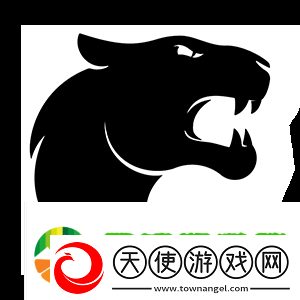 Swani访谈