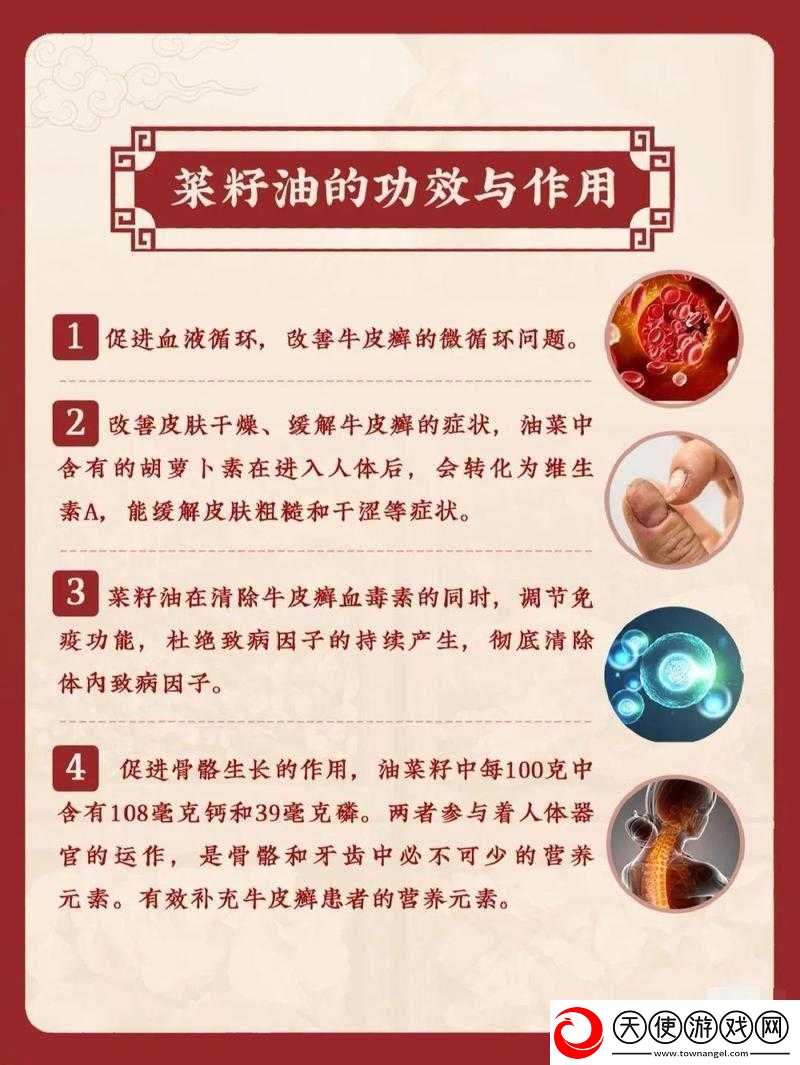 藏秘四十八油有何功效与作用
