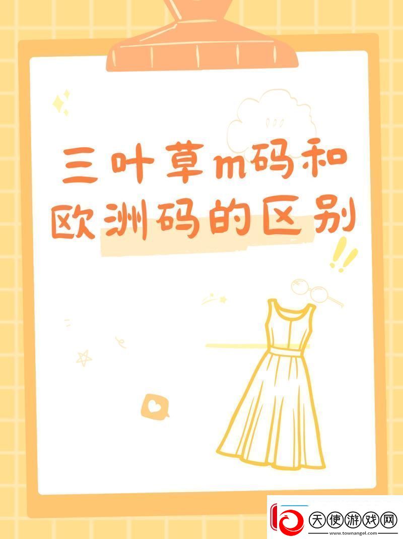 内容详尽解析三叶草M码与欧洲码的区别