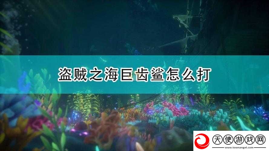 盗贼之海鱼饵怎么用