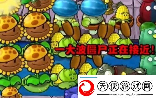 植物大战僵尸杂交版冒险模式第关攻略大全