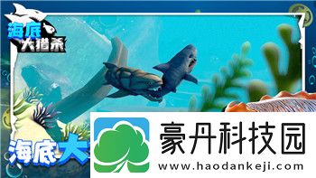 月圆之夜卡组图鉴