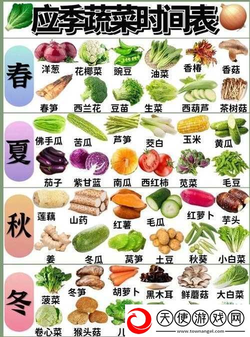 燃烧的蔬菜3星满级花椰菜攻击力分析