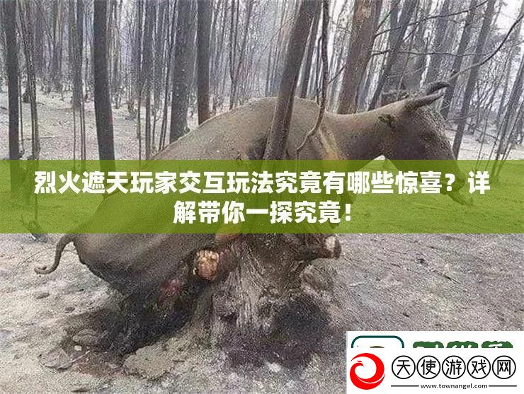 烈火遮天玩家交互玩法究竟有哪些惊喜