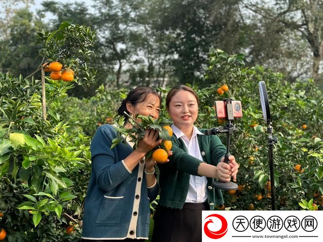 柑橘直播