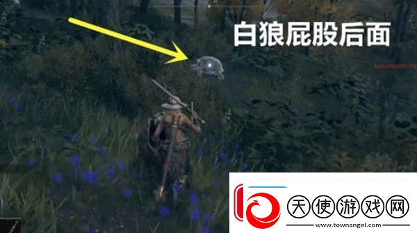 艾尔登法环三只睿智兽物在哪