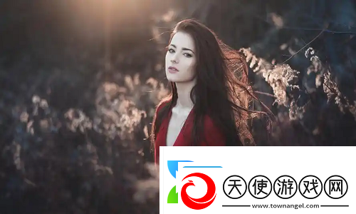 欧美VPS与Windows性能比较1