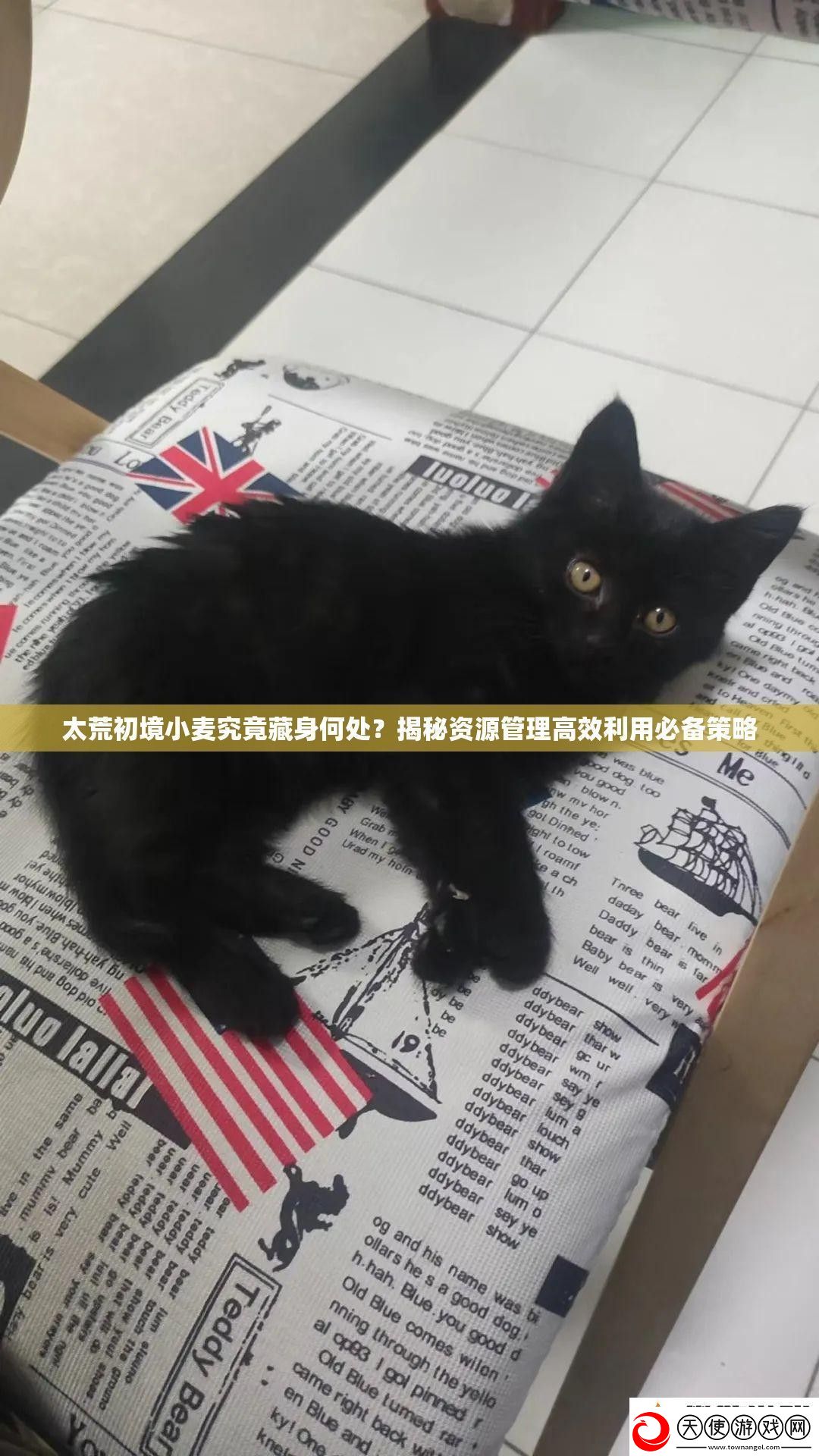太荒初境小麦究竟藏身何处