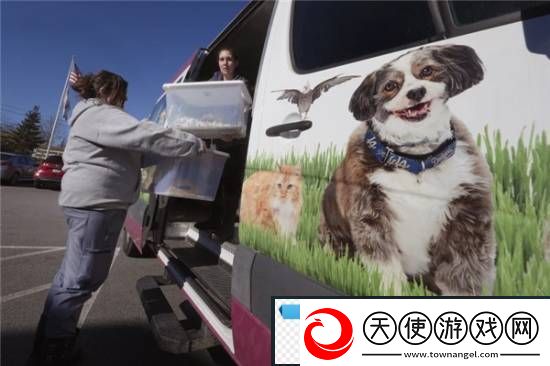 游你扯淡